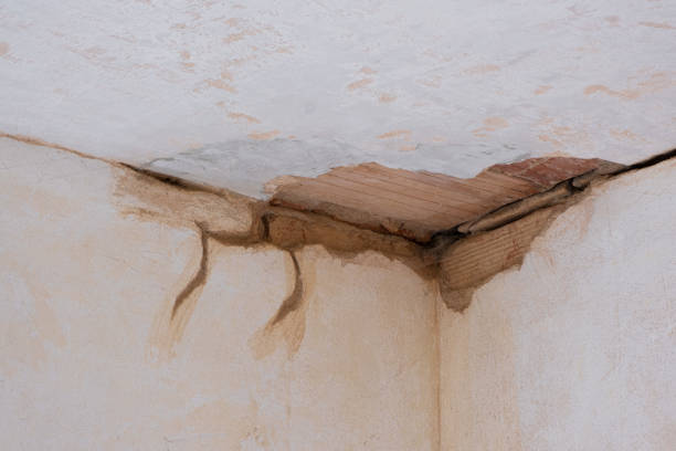 Best Water damage cleanup near me  in Nashville, TN