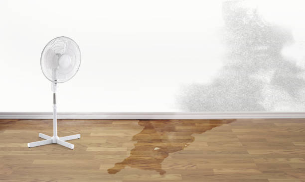 Best Water damage restoration services  in Nashville, TN