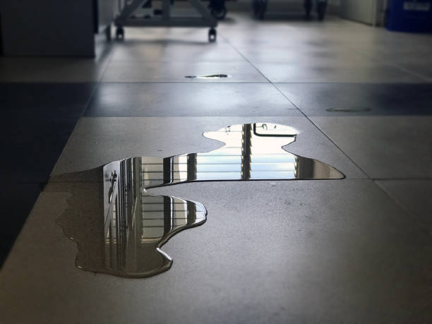 Best Carpet water damage restoration  in Nashville, TN